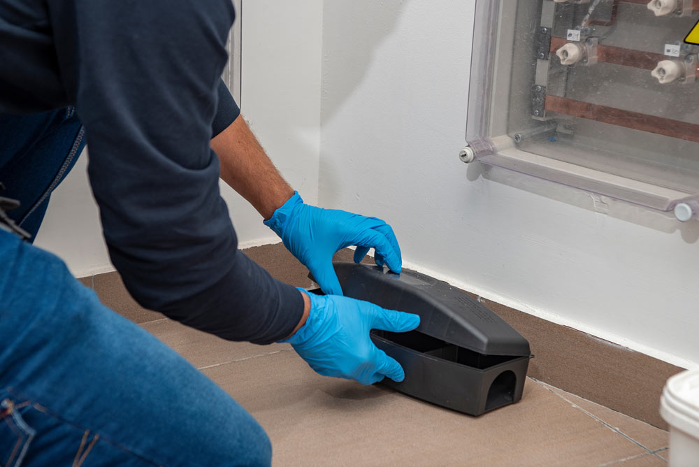 Pest Control Oldham